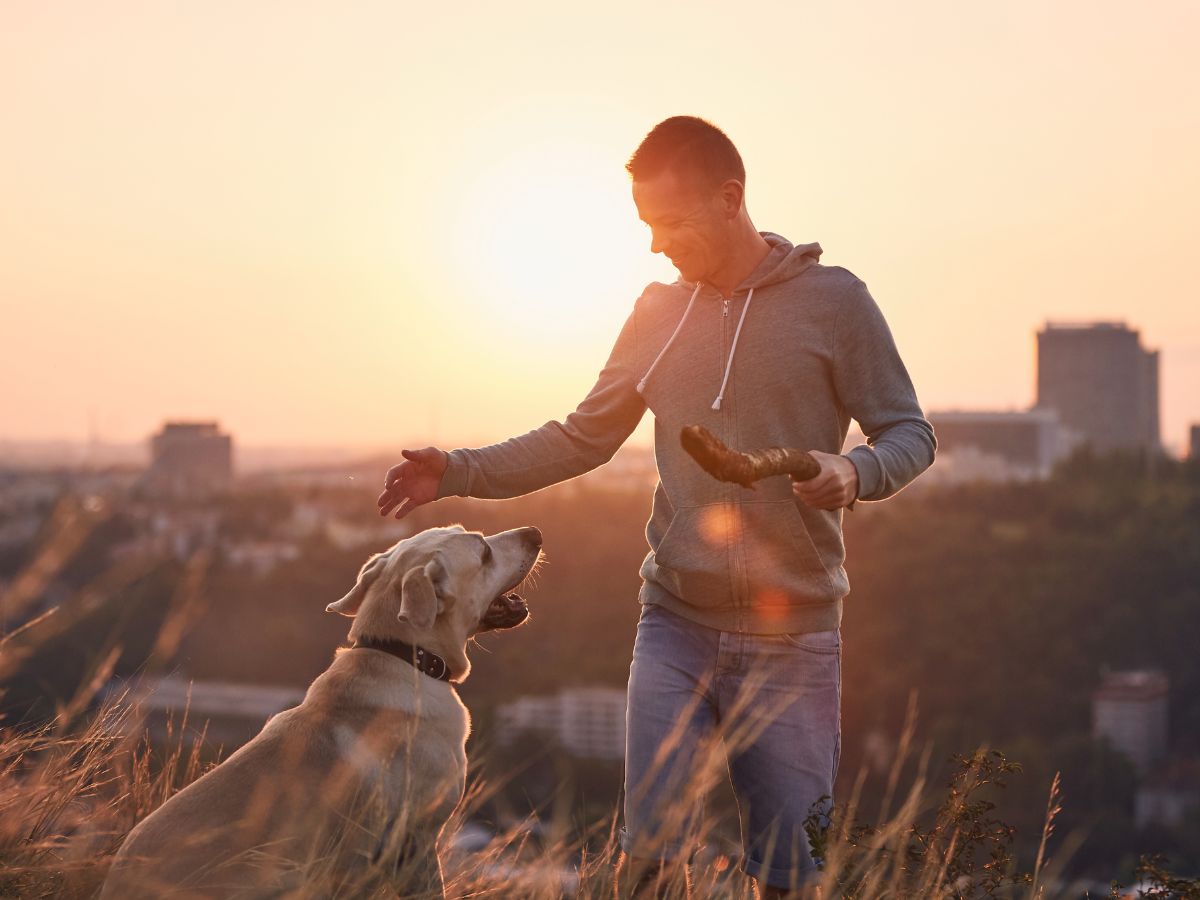 A person is playing with their dog on a hill at sunset A person is playing with their dog on a hill at sunset